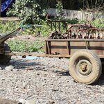 Photo taken by Steve W