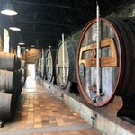 Photo taken by Lisa B