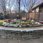 Photo taken by Kirti P