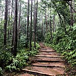 Curving trail | Photo taken by Joost S