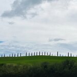 Photo taken by Veronica R