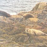 Photo taken by Anne W