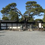 Photo taken by Debbie G