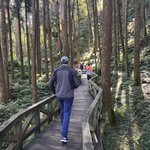 Photo taken by Beat M