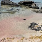 Photo taken by Kathleen S