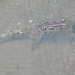 Photo taken by Brett F