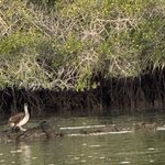 Photo taken by Gary W