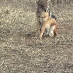 Photo taken by Ingenie D