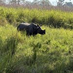 Photo taken by Meenakshi B