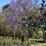 Photo taken by carlos d