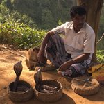 Snake charmer with his cobras. | Photo taken by Sylvanna C