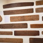 Photo taken by Amy C