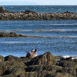 Photo taken by Mason G