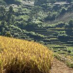 Photo taken by Margaret S