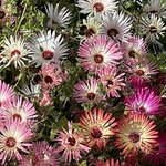 Photo taken by Nan K