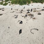 Photo taken by Yin Ling K