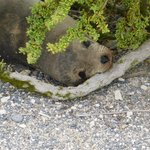 Photo taken by Steven M