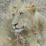 Photo taken by Linette B