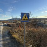 Photo taken by Donn S