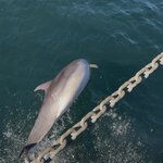 Photo taken by Judith C