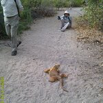 Photo taken by Richard P