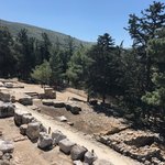 Photo taken by Victoria P