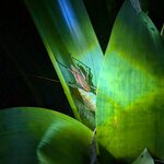 Photo taken by Linda P