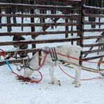 Photo taken by KRISTIN T