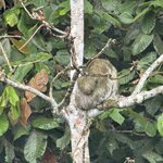 Photo taken by Sarah C