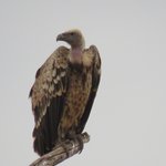 Photo taken by Kristin M