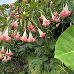 Photo taken by Heather R