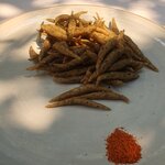 Photo taken by Jane G