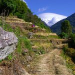 Photo taken by Peter M