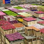 Photo taken by Shannon F