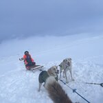 Photo taken by Sandra D