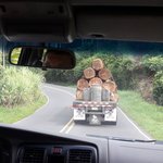 Photo taken by Claudia S