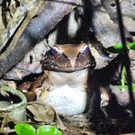 Photo taken by Lee B