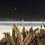 Photo taken by Andrew S