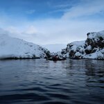 Photo taken by Grace M