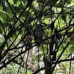 Photo taken by Meggan M