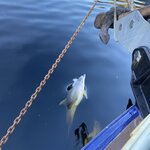 Photo taken by Gabrielle H