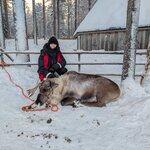 Photo taken by Alison D