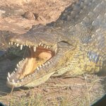 Photo taken by rafiq m