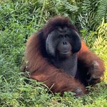 Photo taken by Kim L