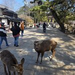 Photo taken by Judith W