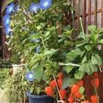 Tsumago colors | Photo taken by Louise I