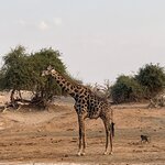 Photo taken by Janie W