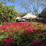 Photo taken by Mary K