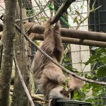 Photo taken by Victoria C