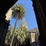 Photo taken by Brent B